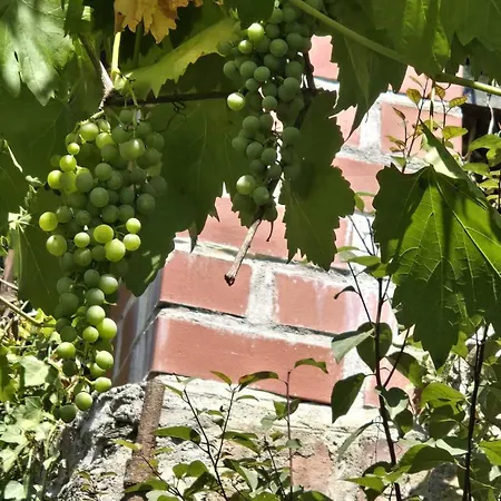 Vier-burgen-rhein-blick Oberes Mittelrheintal Ferienhaus Lorch am Rhein