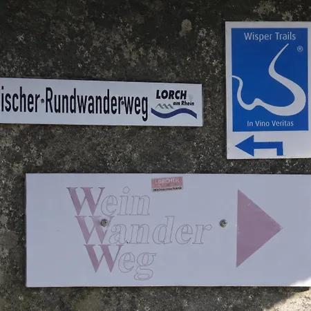 Vier-burgen-rhein-blick Oberes Mittelrheintal Vakantiehuis