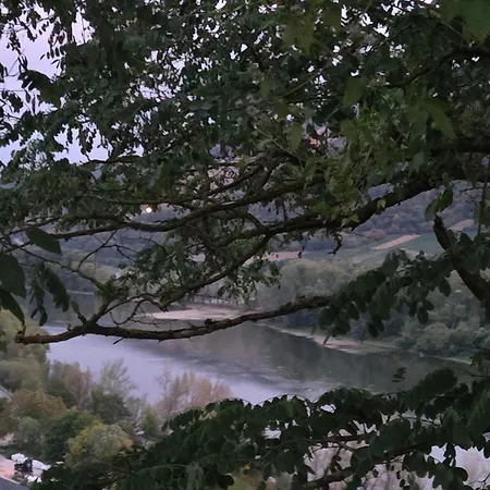 Vakantiehuis Vier-burgen-rhein-blick Oberes Mittelrheintal *